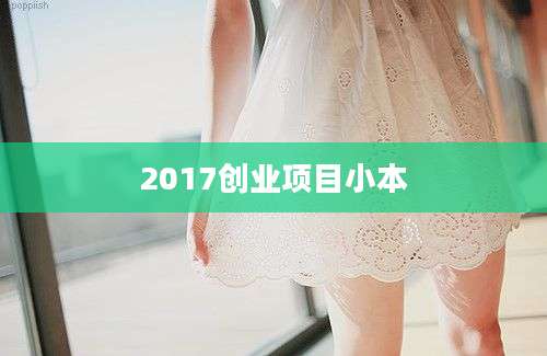 2017创业项目小本