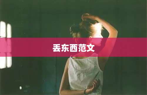 丢东西范文