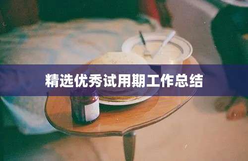 精选优秀试用期工作总结
