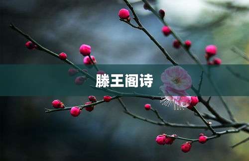 滕王阁诗