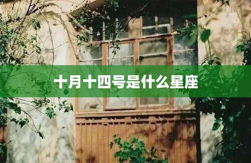 十月十四号是什么星座