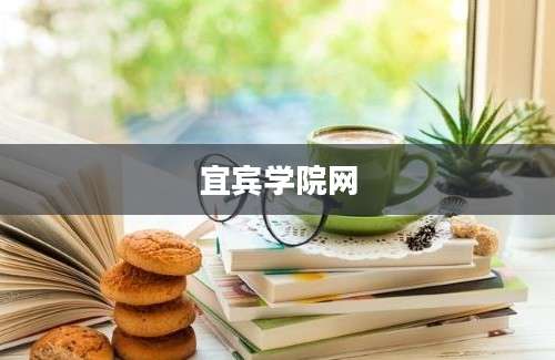 宜宾学院网