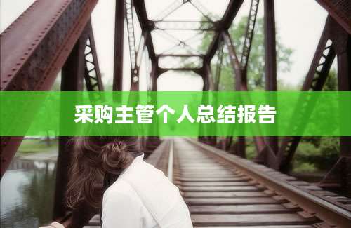 采购主管个人总结报告