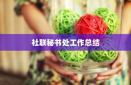 社联秘书处工作总结