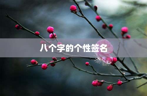 八个字的个性签名