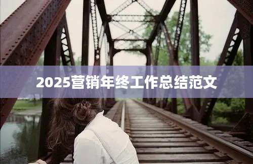 2025营销年终工作总结范文