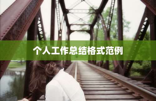 个人工作总结格式范例