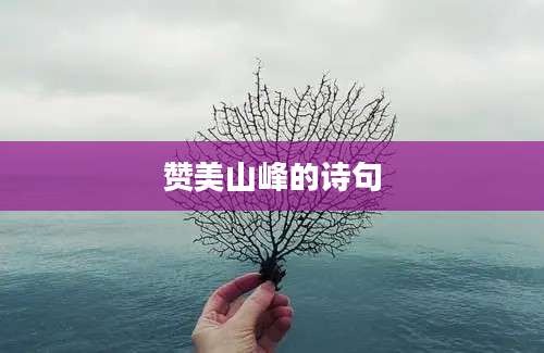 赞美山峰的诗句