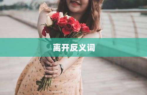 离开反义词