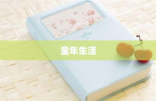 童年生活