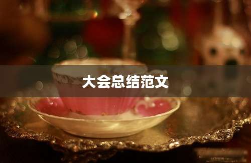 大会总结范文