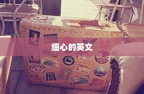 细心的英文