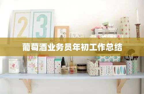 葡萄酒业务员年初工作总结