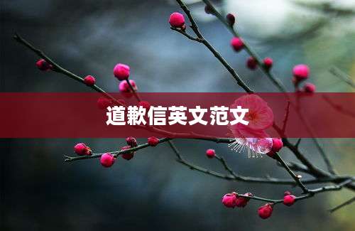 道歉信英文范文