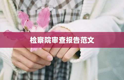 检察院审查报告范文