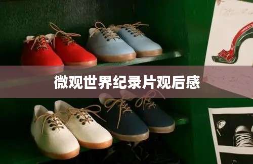 微观世界纪录片观后感