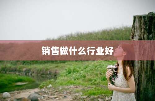 销售做什么行业好