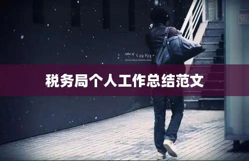 税务局个人工作总结范文