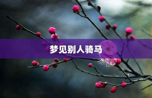 梦见别人骑马