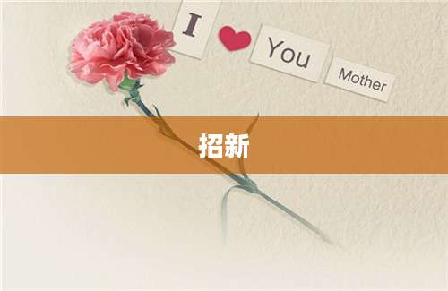 招新