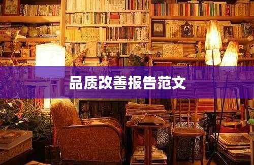 品质改善报告范文