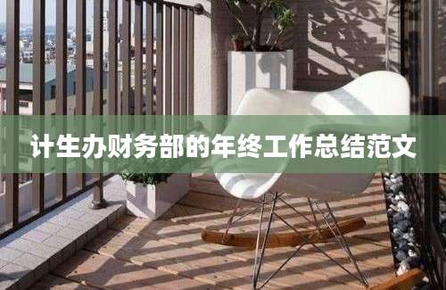 计生办财务部的年终工作总结范文