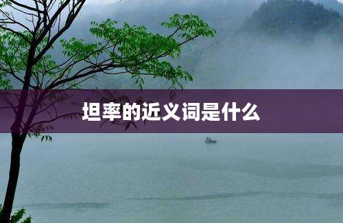 坦率的近义词是什么