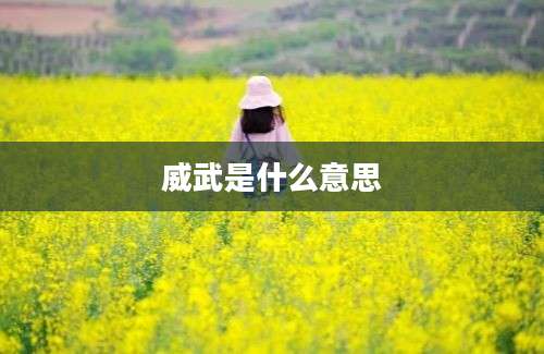 威武是什么意思