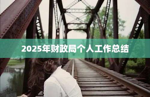 2025年财政局个人工作总结