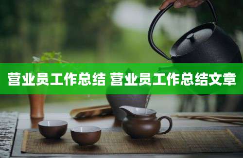 营业员工作总结 营业员工作总结文章
