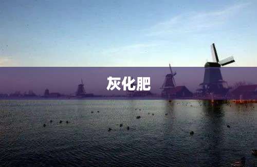 灰化肥