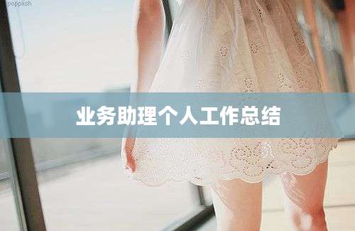 业务助理个人工作总结