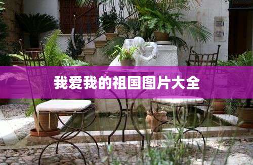 我爱我的祖国图片大全
