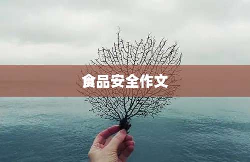 食品安全作文
