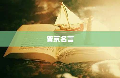 普京名言