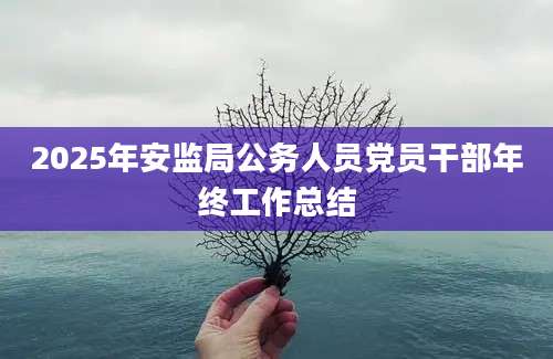 2025年安监局公务人员党员干部年终工作总结