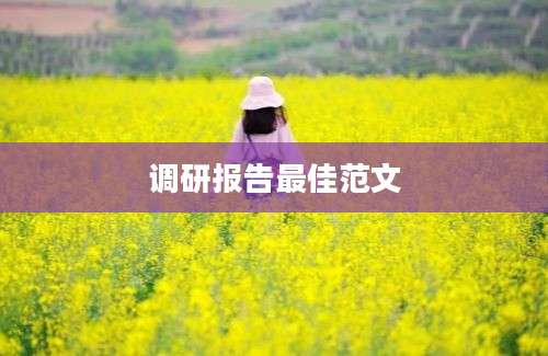 调研报告最佳范文