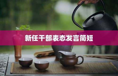 新任干部表态发言简短