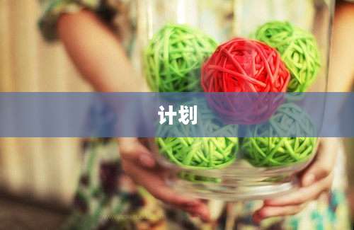 计划