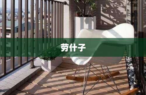 劳什子