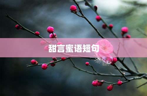 甜言蜜语短句