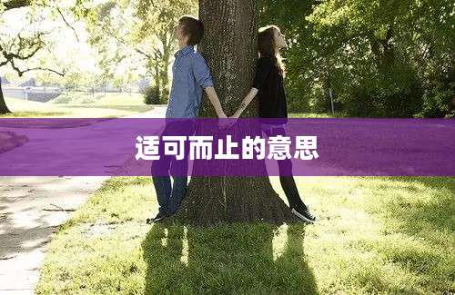 适可而止的意思