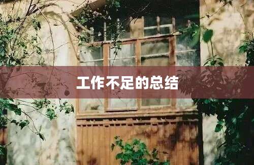 工作不足的总结