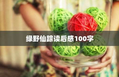 绿野仙踪读后感100字