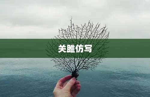 关雎仿写