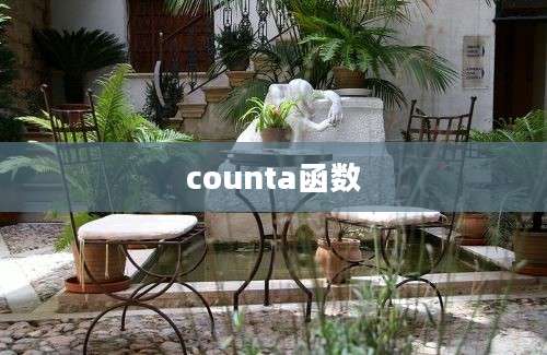 counta函数