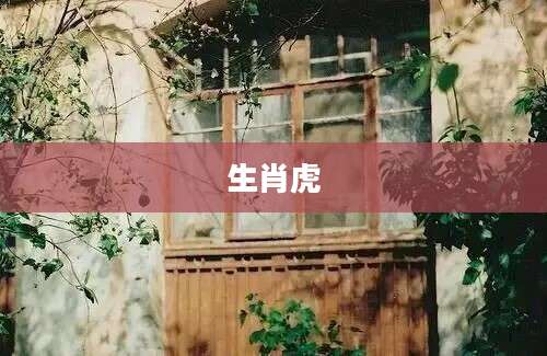 生肖虎