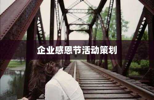 企业感恩节活动策划
