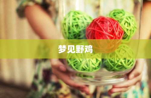 梦见野鸡