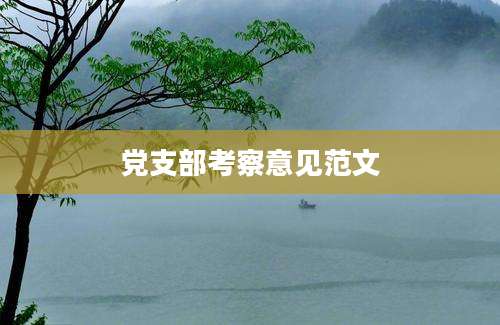 党支部考察意见范文